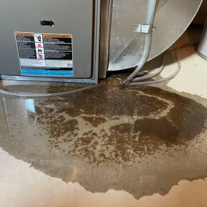 Appliance Leak Cleanup in Wentworth, NC